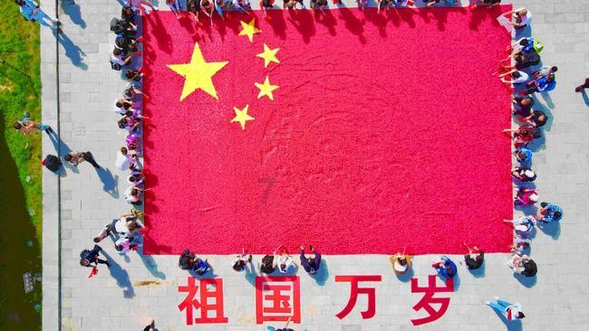 燃烧吧大脑免广告最新版